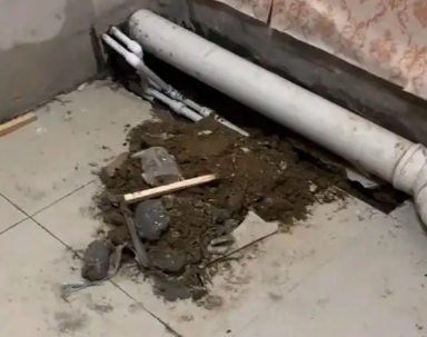 易县卫生间漏水检测哪家好